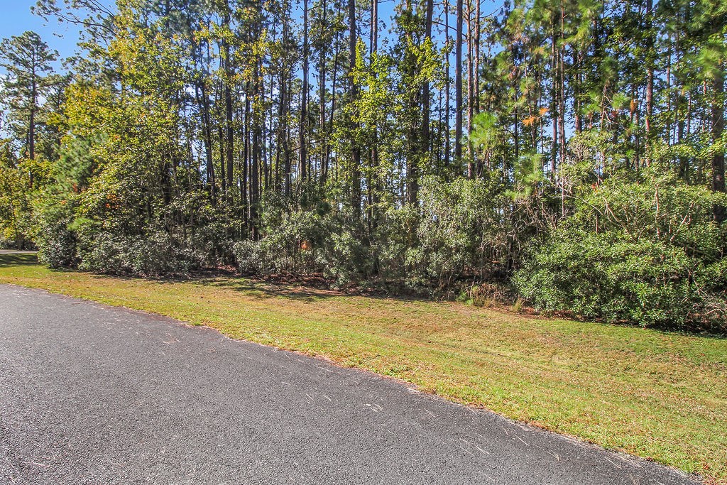 Lot 137 Sapelo Circle Northeast Townsend, GA 31331 - Photo 3 of 33