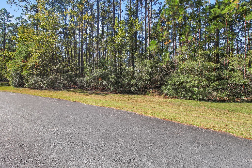 Lot 137 Sapelo Circle Northeast Townsend, GA 31331 - Photo 4 of 33