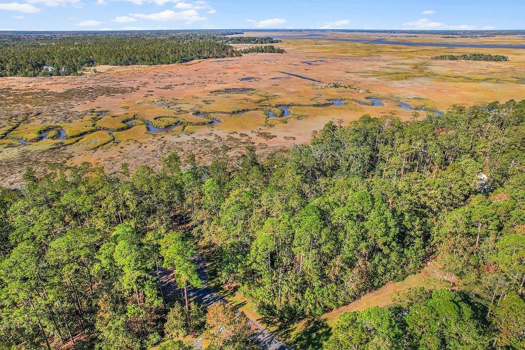 Lot 137 Sapelo Circle Northeast Townsend, GA 31331 - Photo 6 of 33