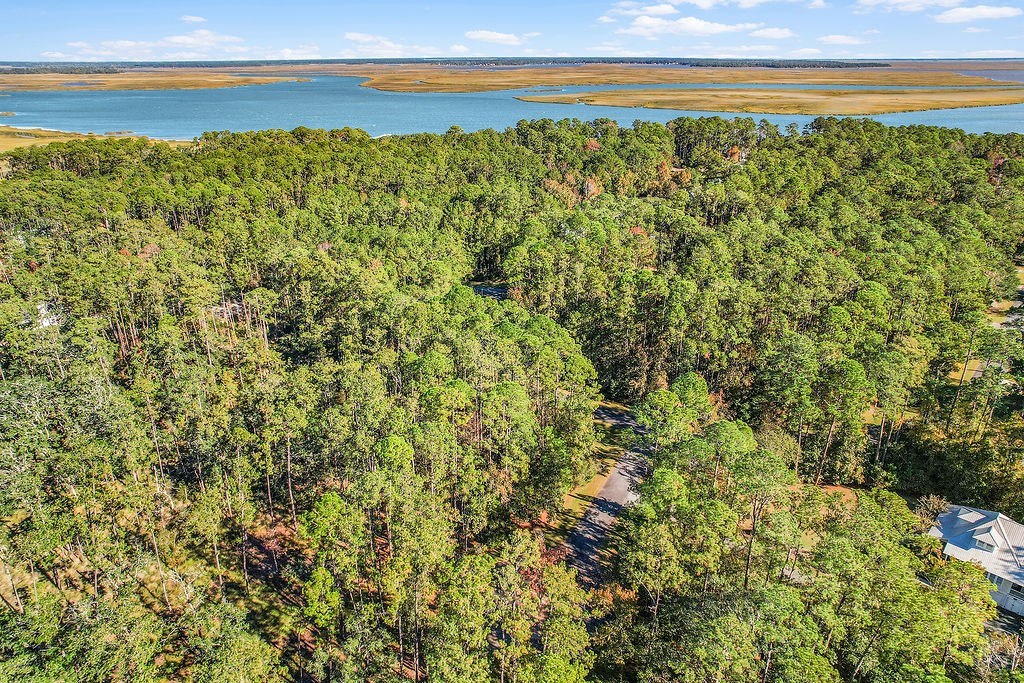 Lot 137 Sapelo Circle Northeast Townsend, GA 31331 - Photo 8 of 33