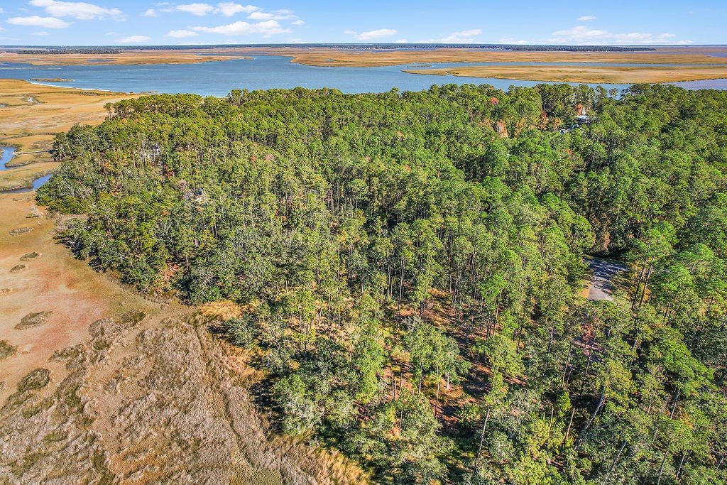 Lot 137 Sapelo Circle Northeast Townsend, GA 31331 - Photo 9 of 33