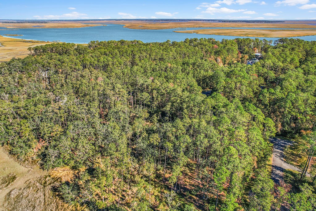 Lot 137 Sapelo Circle Northeast Townsend, GA 31331 - Photo 10 of 33