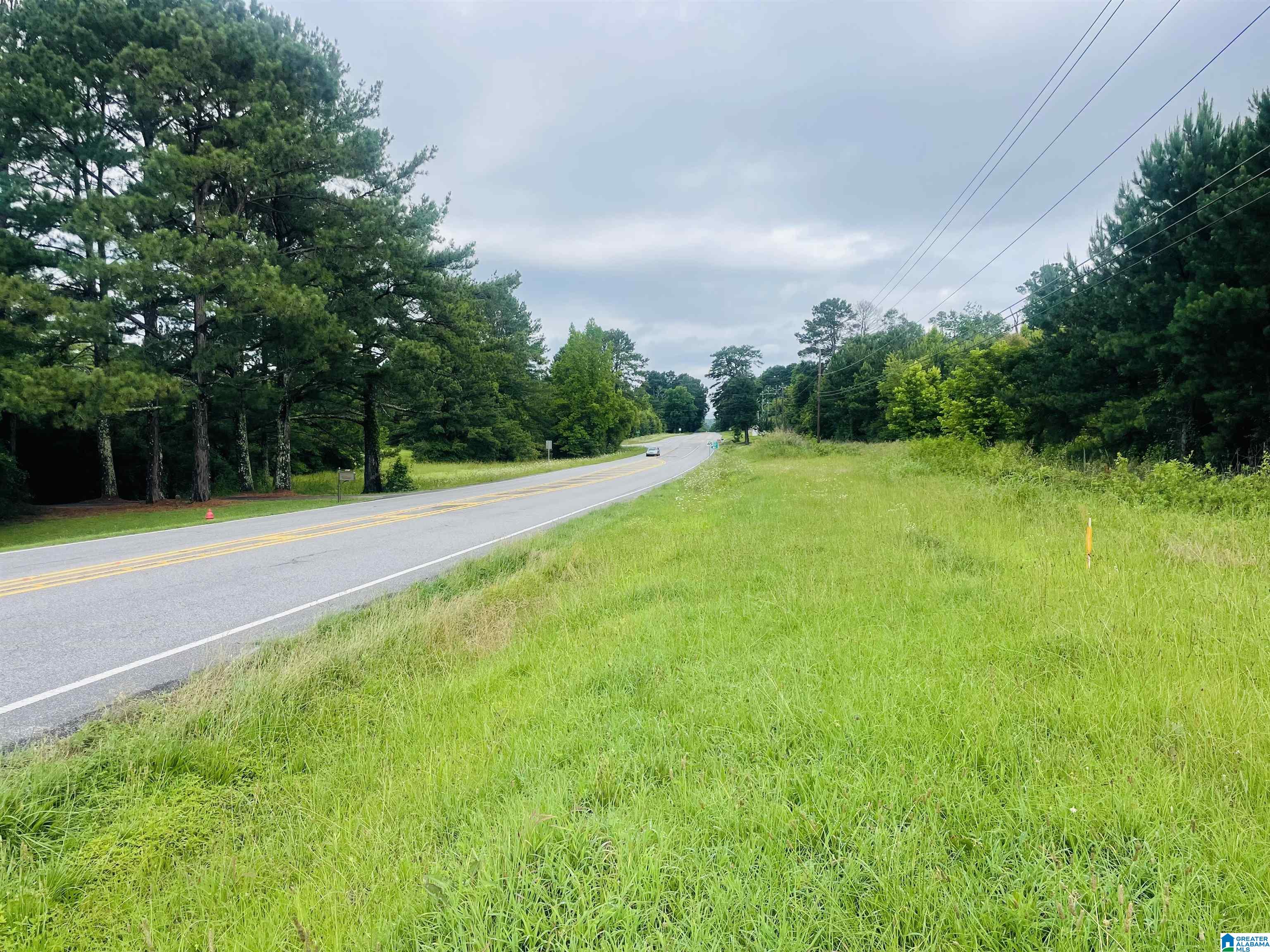 0 Highway 47, Unit 3 Chelsea, AL 35043 - Photo 2 of 18