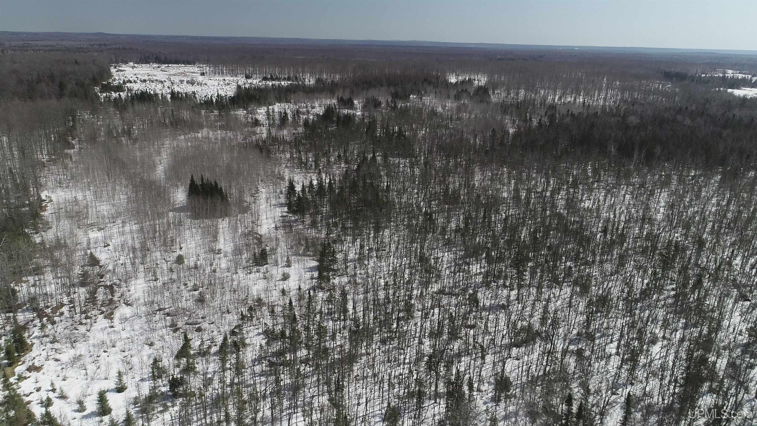 V25 Rd Trenary Mi 49891 Road Rapid River, MI 49878 - Photo 22 of 28