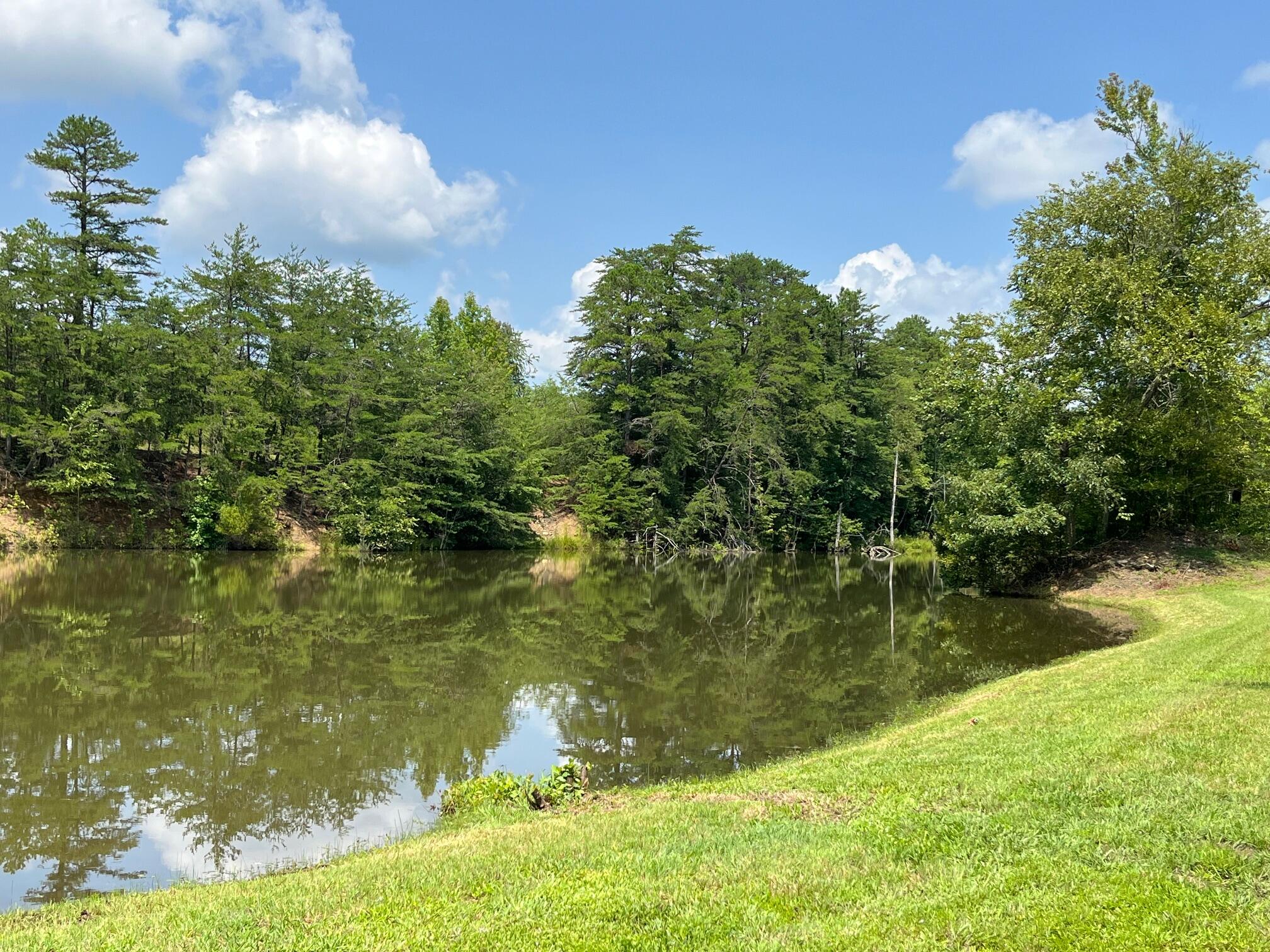 943 Slate Ridge Church Road Lily, KY 40740 - Photo 65 of 68 IMG_1307