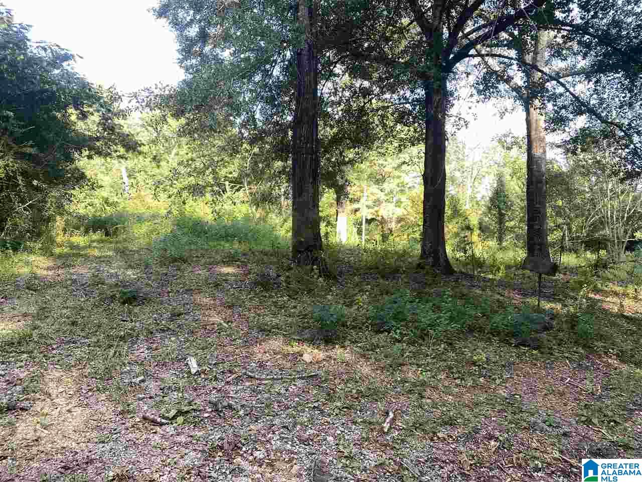 9649 Harvella Road, Unit 1 Warrior, AL 35180 - Photo 5 of 5