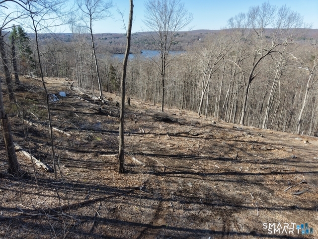 94 South Injun Road East Hampton, CT 06424 - Photo 8 of 16 Gallery Image 8