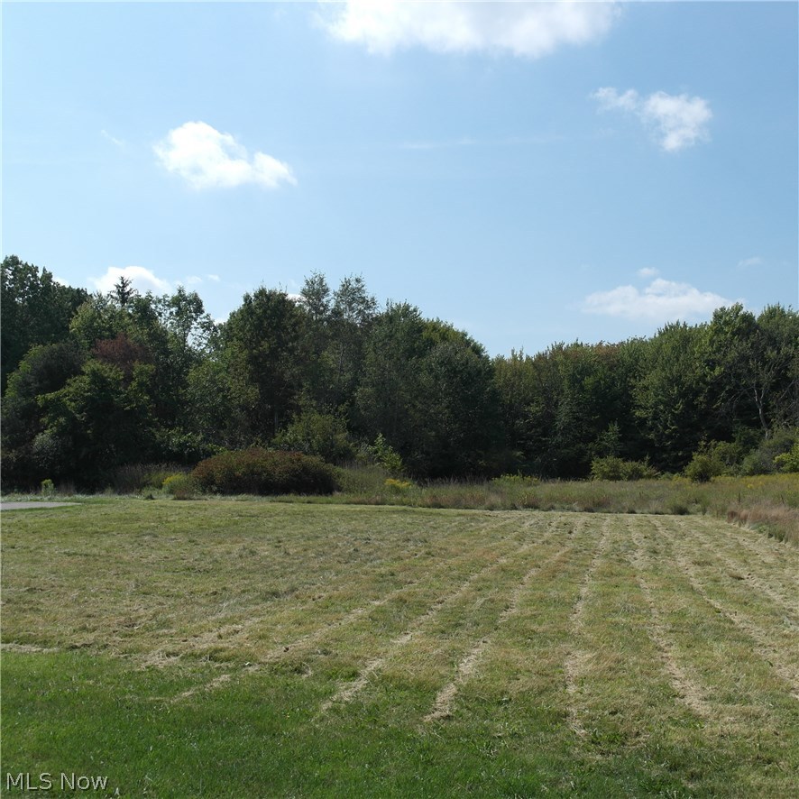 8304 Brakeman Road Painesville, OH 44077 - Photo 21 of 22