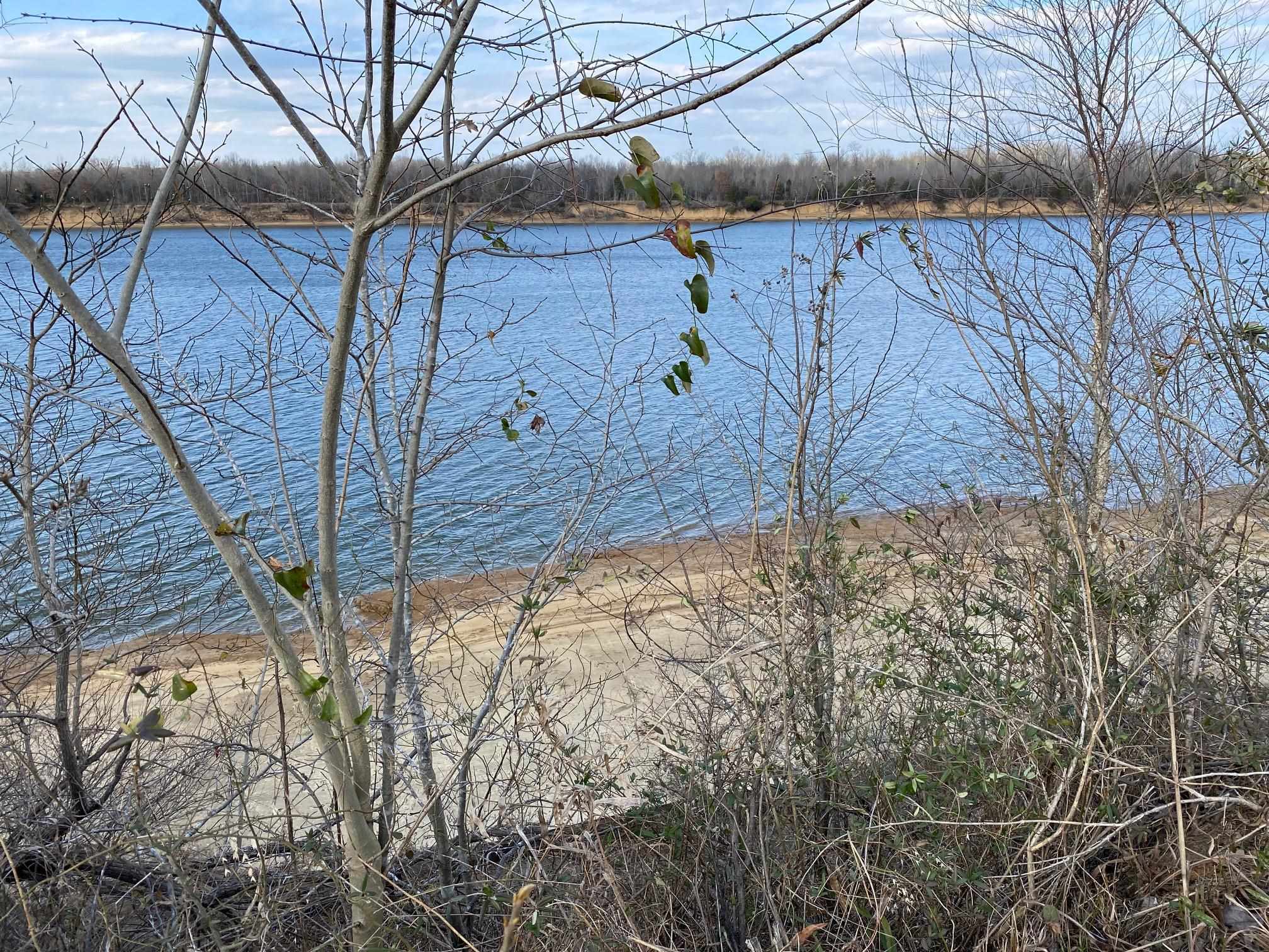 Lot 47 Cravens Road Savannah, TN 38372 - Photo 11 of 14 a view of a backyard of the house