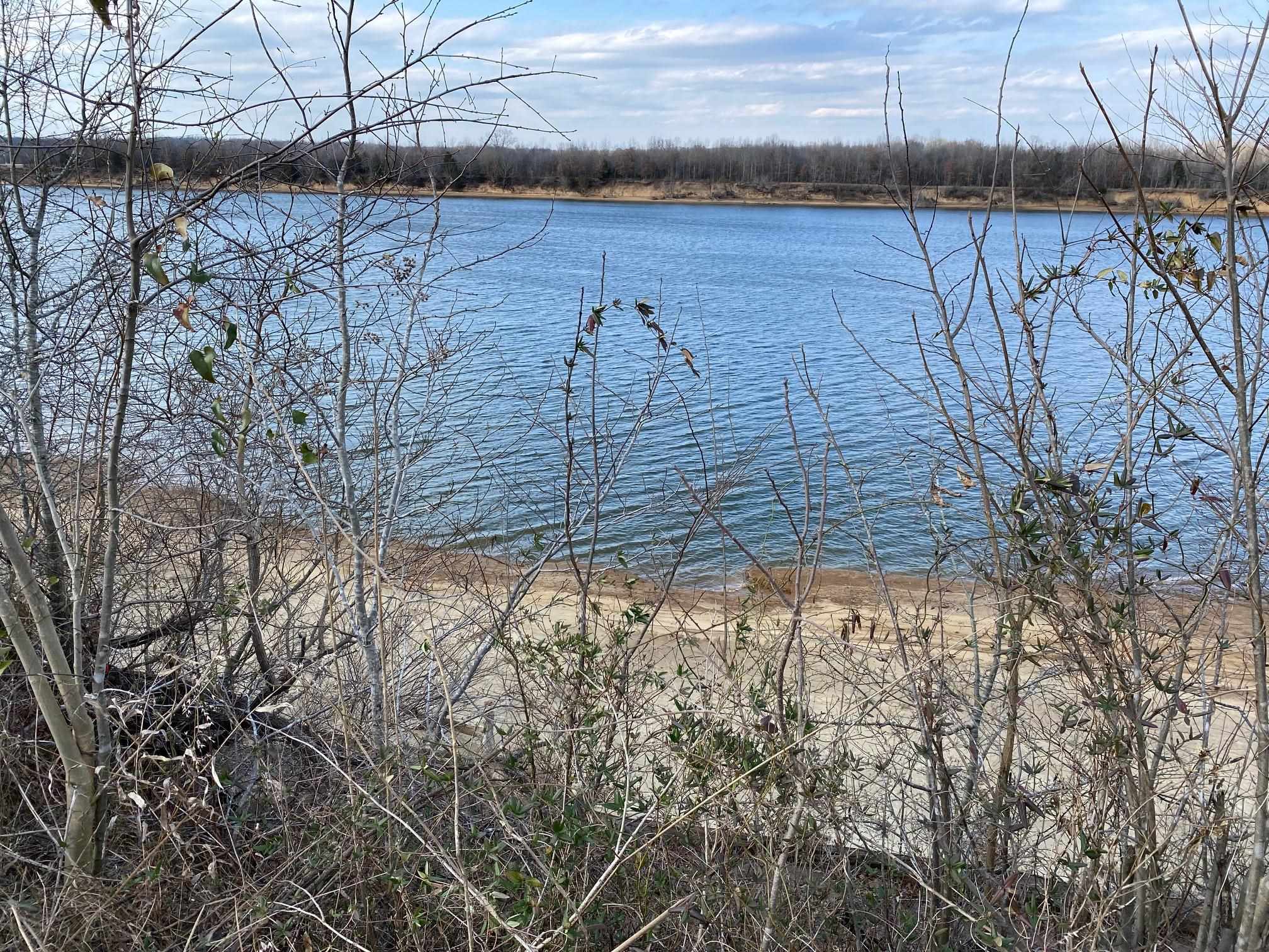 Lot 47 Cravens Road Savannah, TN 38372 - Photo 12 of 14 a view of ocean