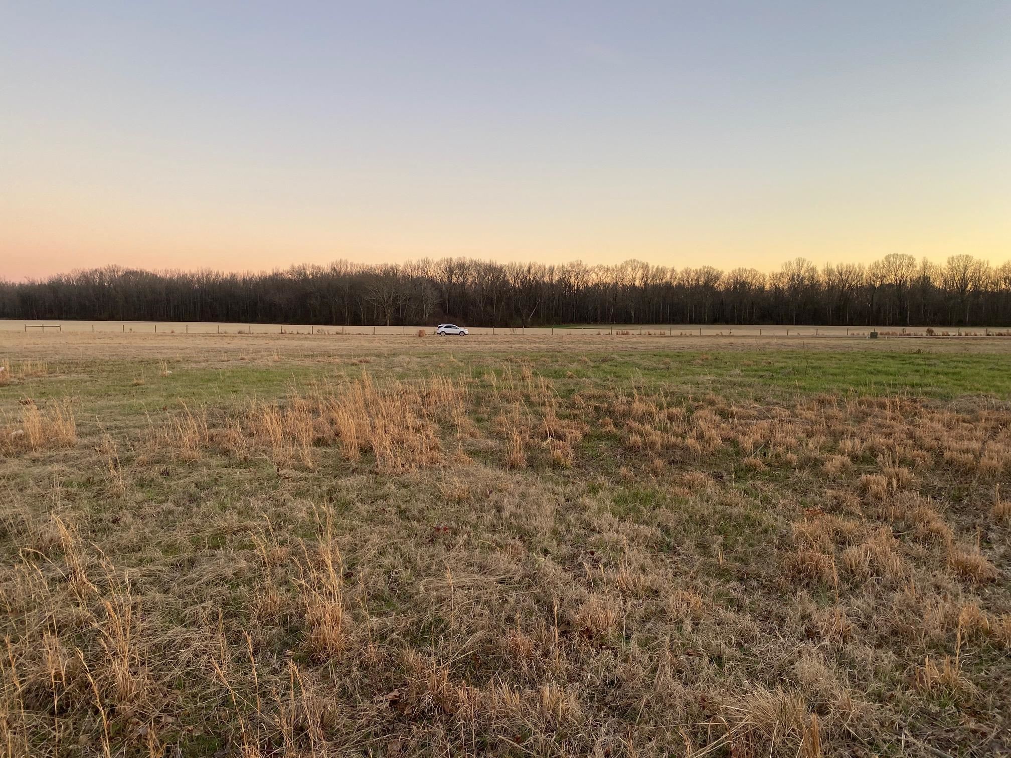 Lot 47 Cravens Road Savannah, TN 38372 - Photo 13 of 14 a view of lake and sunset