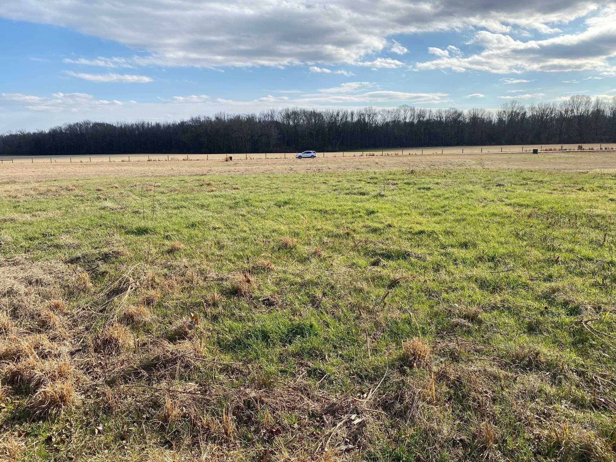 Lot 47 Cravens Road Savannah, TN 38372 - Photo 4 of 14 a view of an ocean