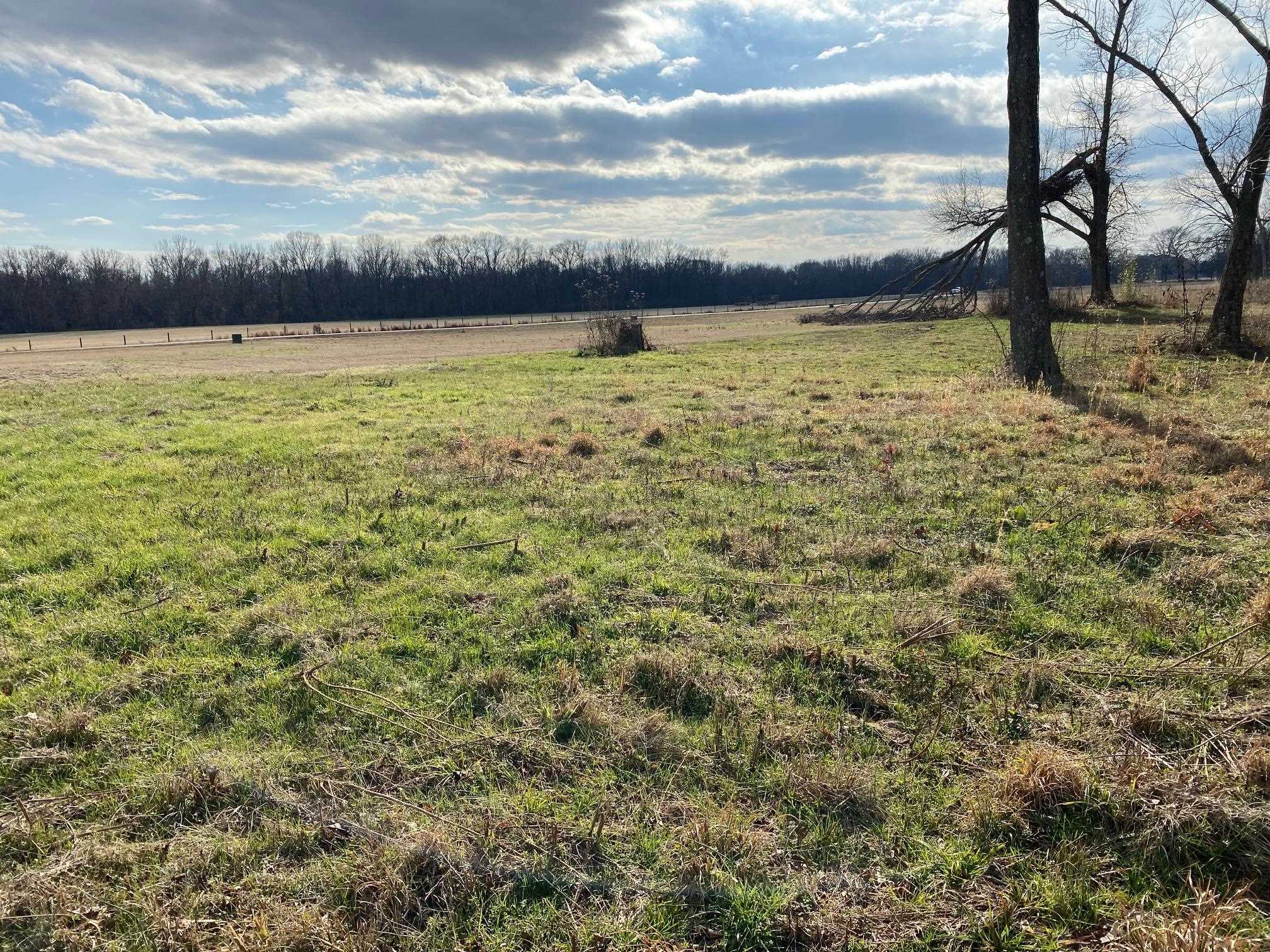 Lot 47 Cravens Road Savannah, TN 38372 - Photo 5 of 14 a view of an ocean