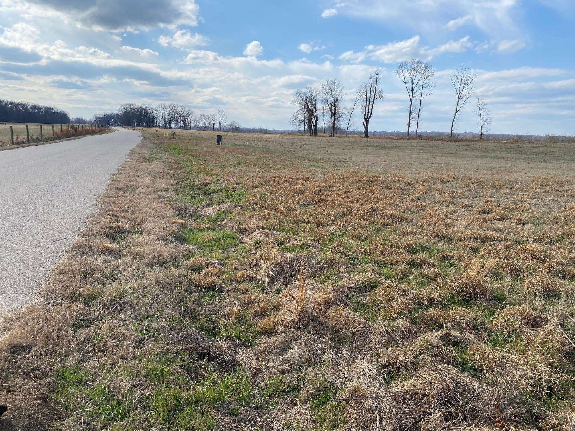 Lot 47 Cravens Road Savannah, TN 38372 - Photo 6 of 14