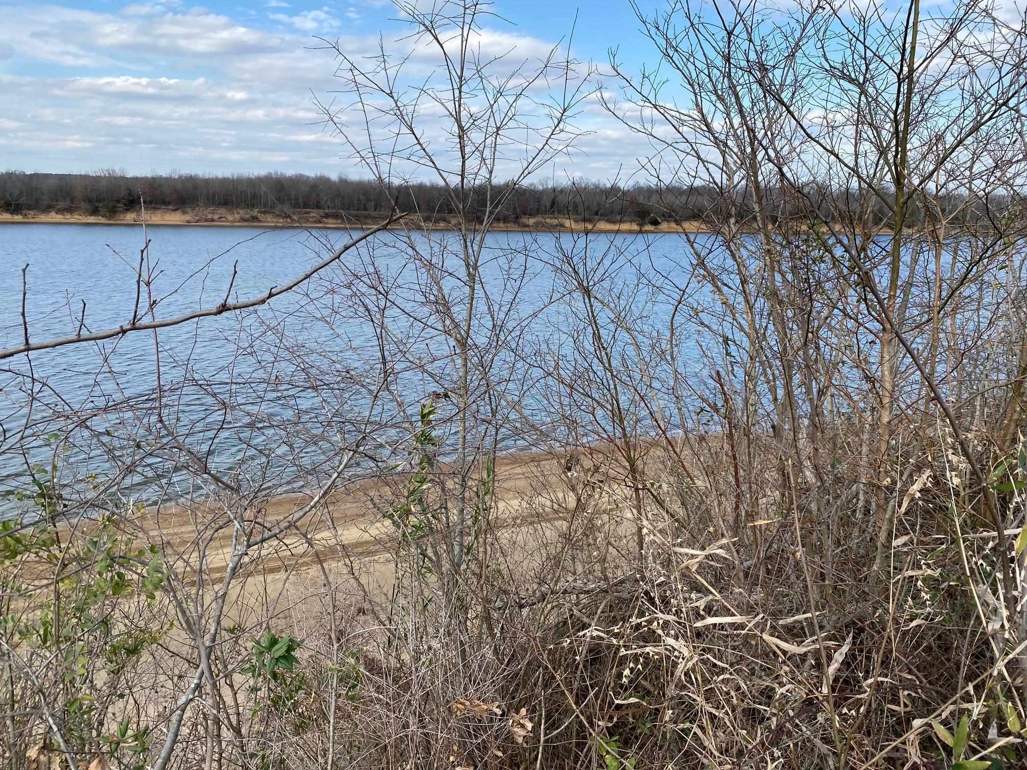 Lot 47 Cravens Road Savannah, TN 38372 - Photo 10 of 14 a backyard of a house