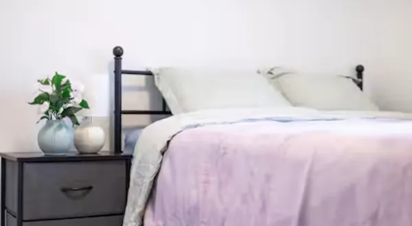 a bedroom with a bed and a potted plant