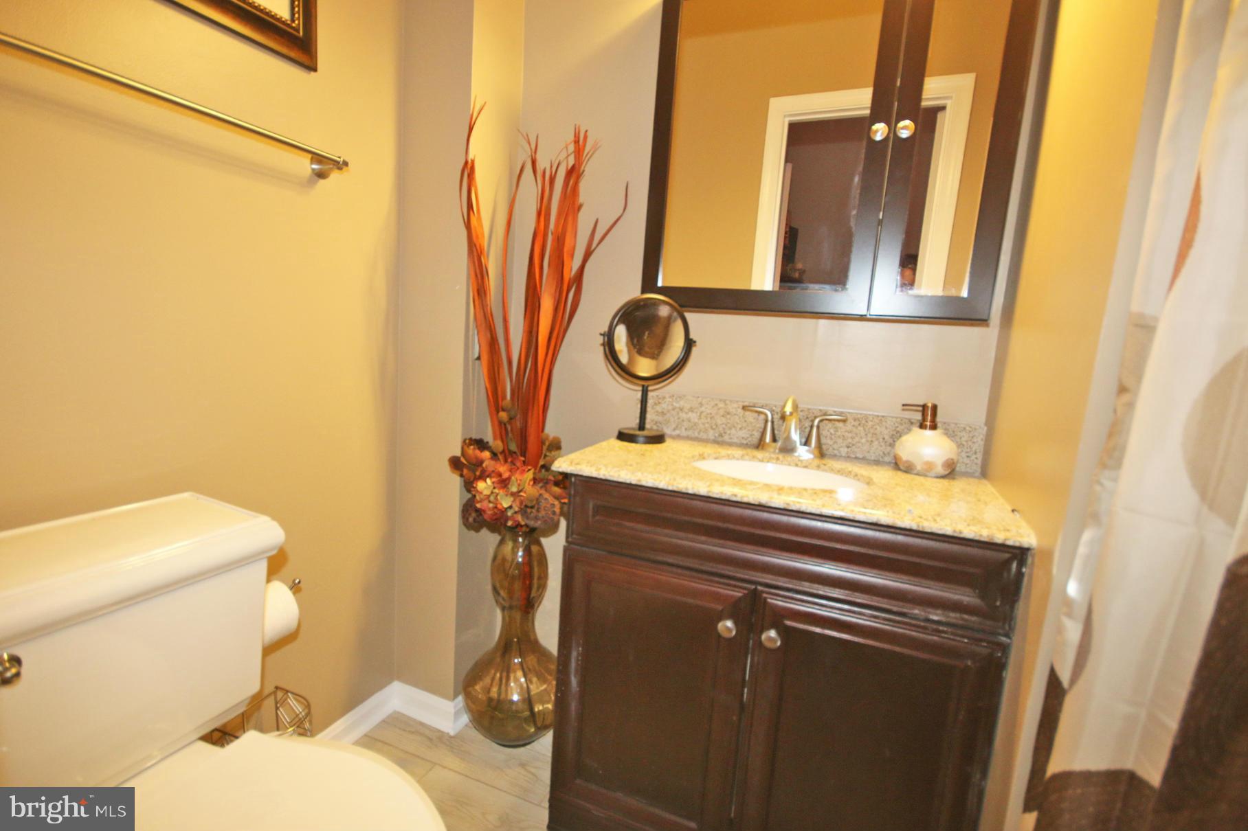 505 Pickwick Village Way Silver Spring, MD 20901 - Photo 12 of 15 Bath Full 2