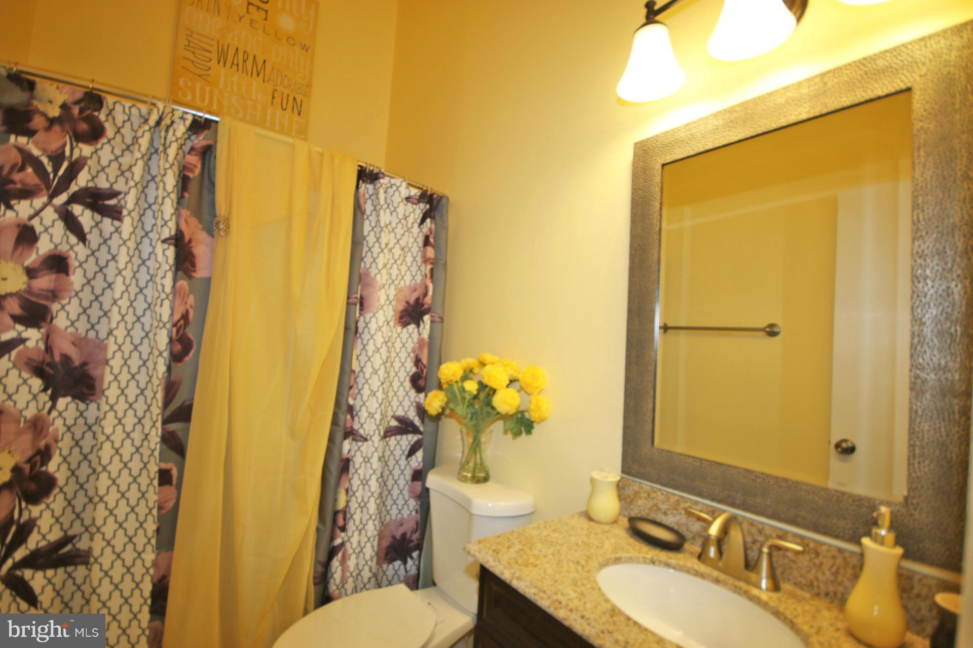 505 Pickwick Village Way Silver Spring, MD 20901 - Photo 13 of 15 Bath Full 3