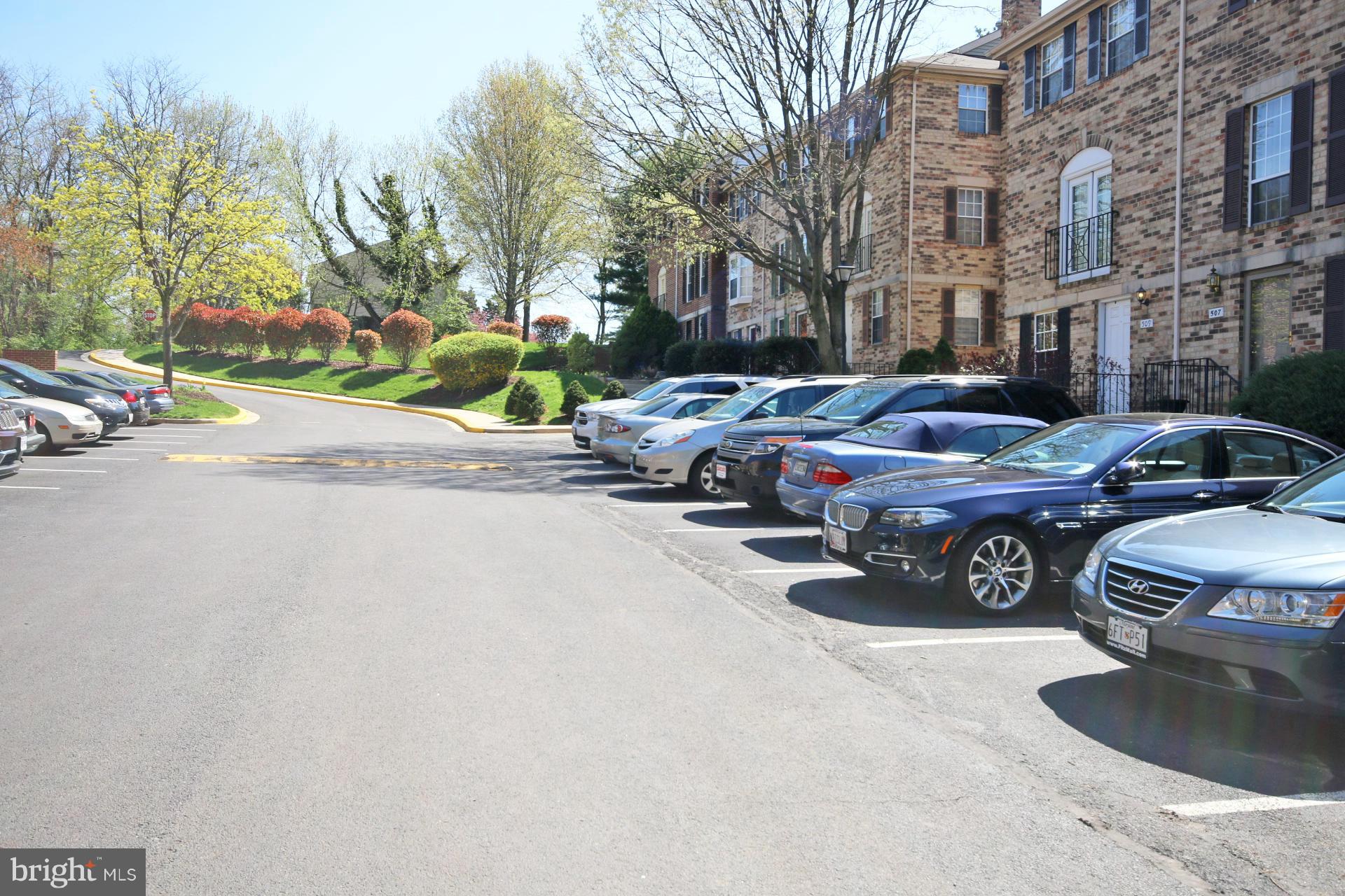 505 Pickwick Village Way Silver Spring, MD 20901 - Photo 15 of 15 Parking