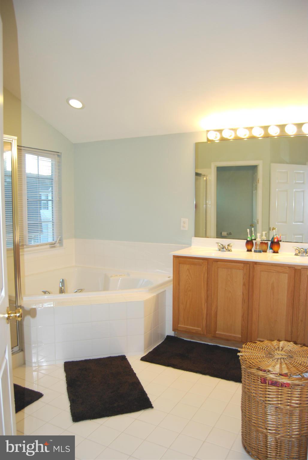 314 Stone Run Drive Rising Sun, MD 21911 - Photo 22 of 30 Bath (Master)