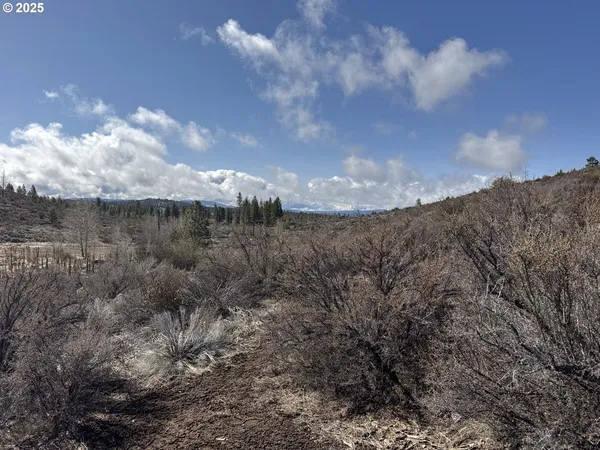 $13,000 | Rivers Drive, Unit 72, Chiloquin, OR 97624