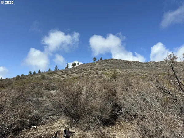 $13,000 | Rivers Drive, Unit 72, Chiloquin, OR 97624