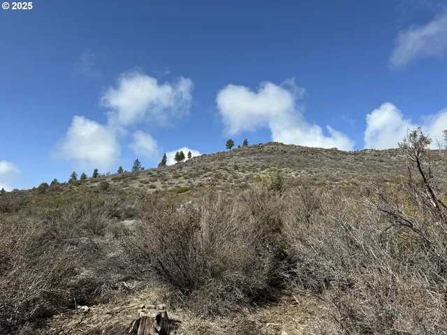 $13,000 | Rivers Drive, Unit 72, Chiloquin, OR 97624