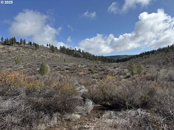 $13,000 | Rivers Drive, Unit 72, Chiloquin, OR 97624