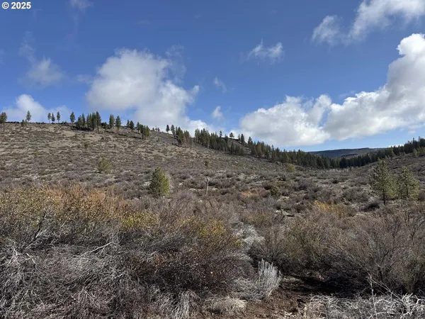 $13,000 | Rivers Drive, Unit 72, Chiloquin, OR 97624