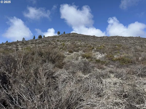 $13,000 | Rivers Drive, Unit 72, Chiloquin, OR 97624