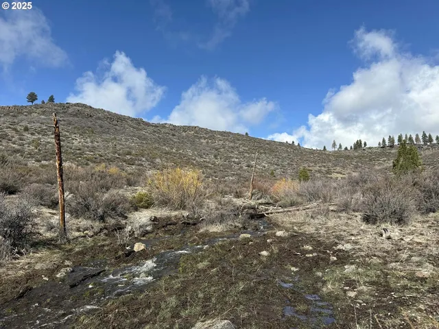 $13,000 | Rivers Drive, Unit 72, Chiloquin, OR 97624