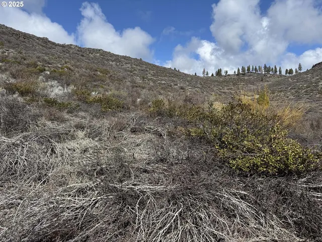 $13,000 | Rivers Drive, Unit 72, Chiloquin, OR 97624