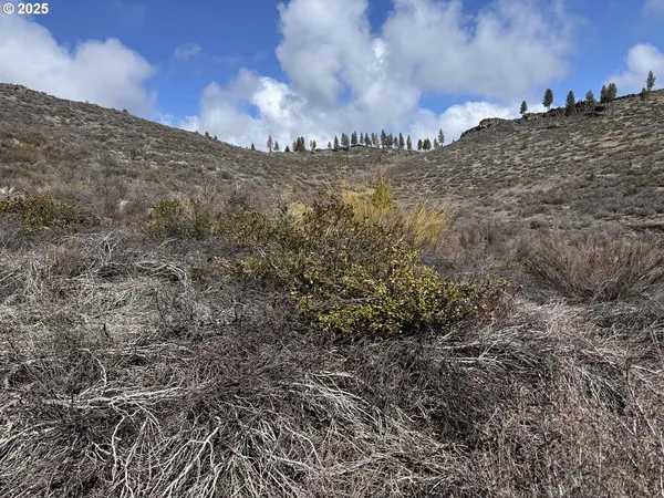 $13,000 | Rivers Drive, Unit 72, Chiloquin, OR 97624