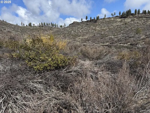 $13,000 | Rivers Drive, Unit 72, Chiloquin, OR 97624