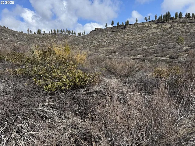 $13,000 | Rivers Drive, Unit 72, Chiloquin, OR 97624