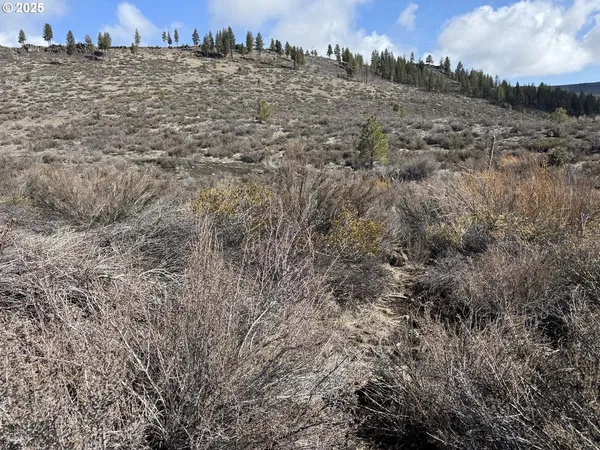 $13,000 | Rivers Drive, Unit 72, Chiloquin, OR 97624