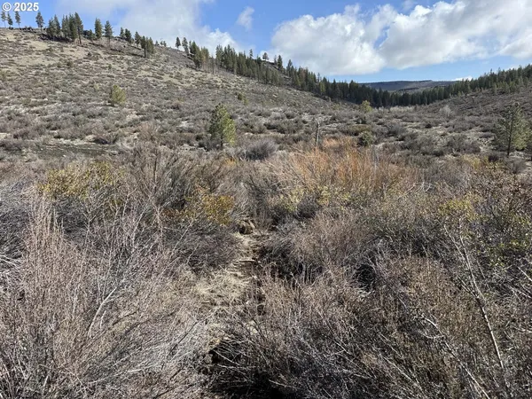 $13,000 | Rivers Drive, Unit 72, Chiloquin, OR 97624