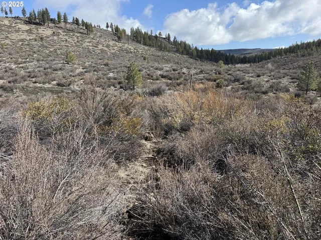 $13,000 | Rivers Drive, Unit 72, Chiloquin, OR 97624