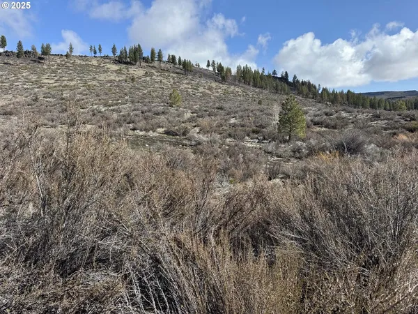 $13,000 | Rivers Drive, Unit 72, Chiloquin, OR 97624