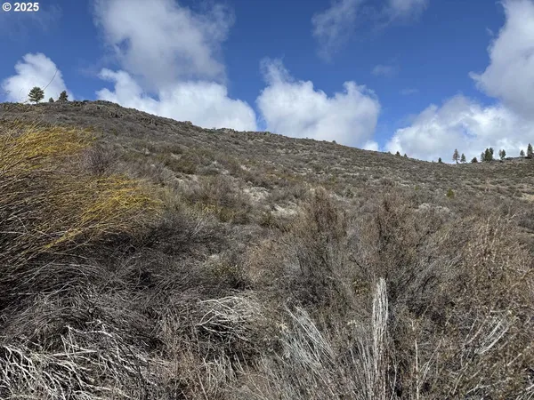 $13,000 | Rivers Drive, Unit 72, Chiloquin, OR 97624