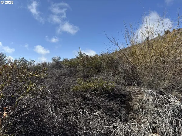 $13,000 | Rivers Drive, Unit 72, Chiloquin, OR 97624