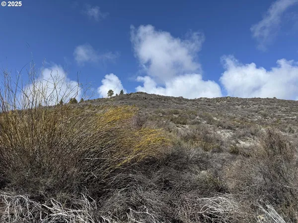 $13,000 | Rivers Drive, Unit 72, Chiloquin, OR 97624