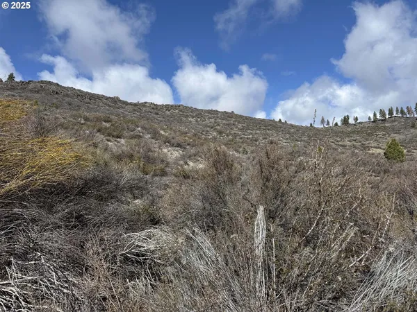 $13,000 | Rivers Drive, Unit 72, Chiloquin, OR 97624