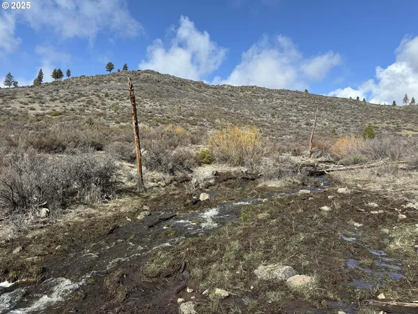 $13,000 | Rivers Drive, Unit 72, Chiloquin, OR 97624