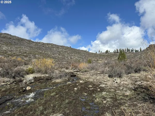 $13,000 | Rivers Drive, Unit 72, Chiloquin, OR 97624