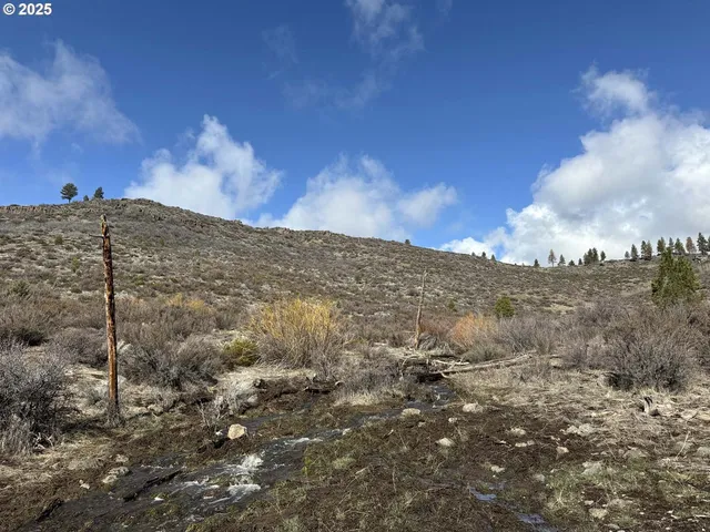 $13,000 | Rivers Drive, Unit 72, Chiloquin, OR 97624