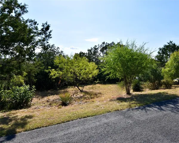 a view of a yard with a tree
