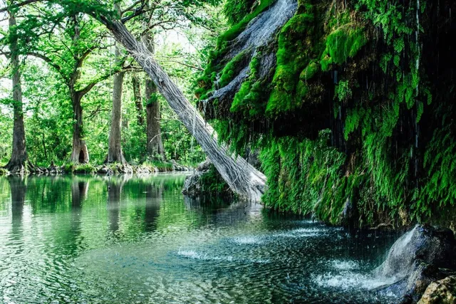 $129,000 | 91 Cove Creek Drive, Spicewood, TX 78669