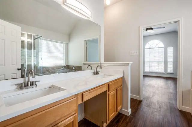 a bathroom with a sink and a large mirror