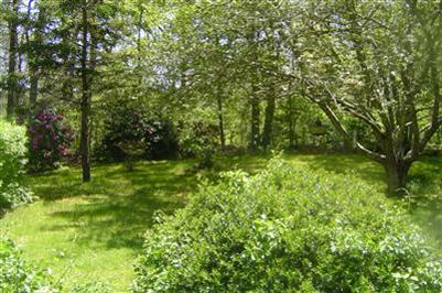 23 Pine Orchard Road Harwich, MA 02645 - Photo 8 of 10 Additional Photo